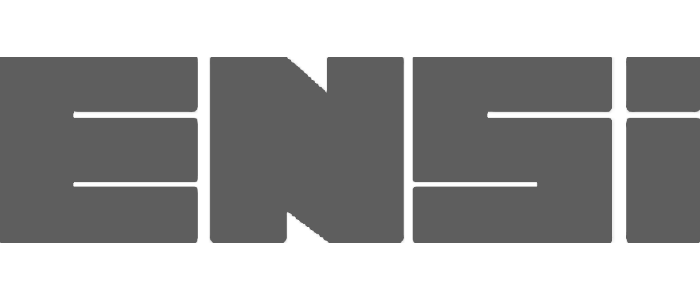 ensi servicios esesa